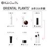 Koh Gen Do Oriental Plants W Essence Serum 30ml