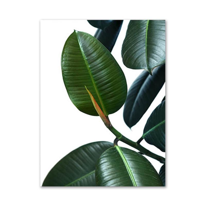 Nature Landscape Poster Plant Lion Animal Leaf Canvas Wall Art Plam Tree Starry Night Painting Decorative Home Picture Decor