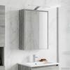 Bathroom Mirror Cabinet Grey Sonoma 43 x 16 x 62.5 cm