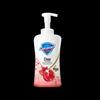 Walch Foaming Antibacterial Hand Wash