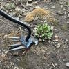 4 Teeth Garden Hoe Manual Weeding Rake Pulling Grass Tool Weeders  Garden