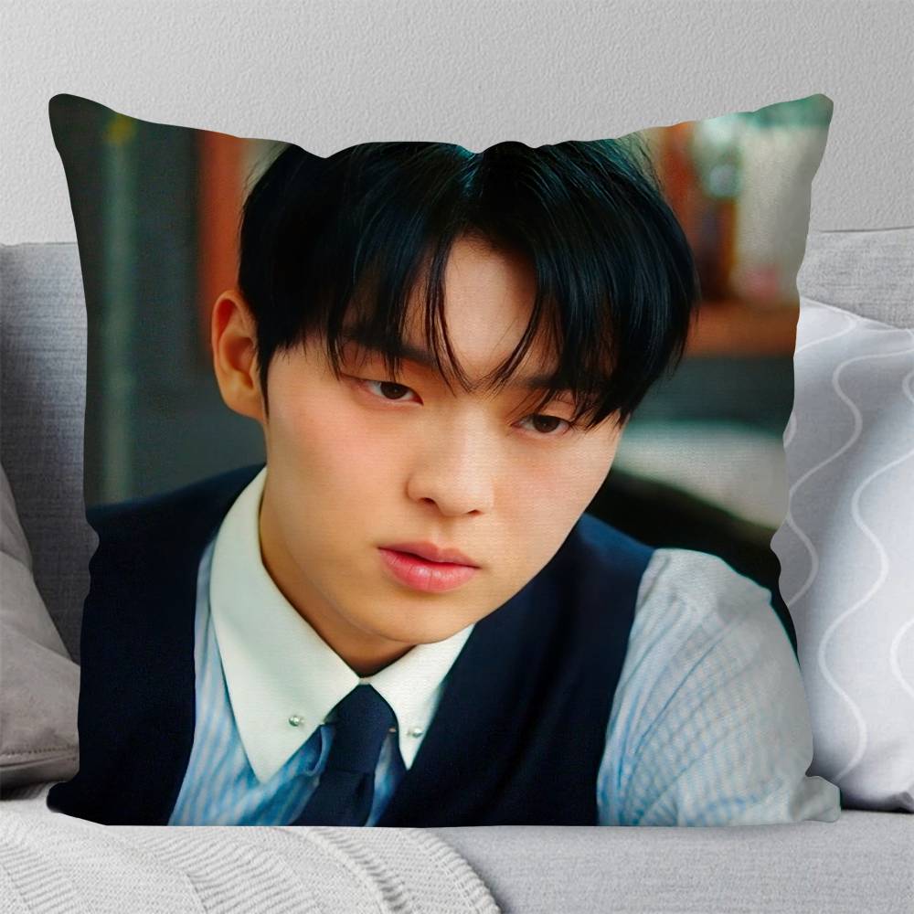 Korean Celebrity CChoi Hyun Wook Pillow Case Fashion Square Pillowcase Bedroom Sofa Room Ins Decoration Leisure