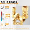 53 PCS DOT Brass Compression Air Brake Nylon Tubing Fittings,Straight Union Fitting Assortment Kit 1/4" 1/8" 3/8" 1/2" 5/8" for Truck or Industrial