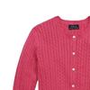 Polo Ralph Lauren Kids FW23 Einfarbiges Zopfmuster Lässiger Langarm-Pullover Kinderpullover Lila-Rot 313543047-050