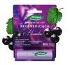 Herbapol Velvety Lips Regenerating Lipstick for Lips - Blackcurrant 4.9 G
