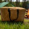 Enhanced Insulated Takeaway Bag for Barbecue and Cake - Portable Thermal Ice Pack for Outings