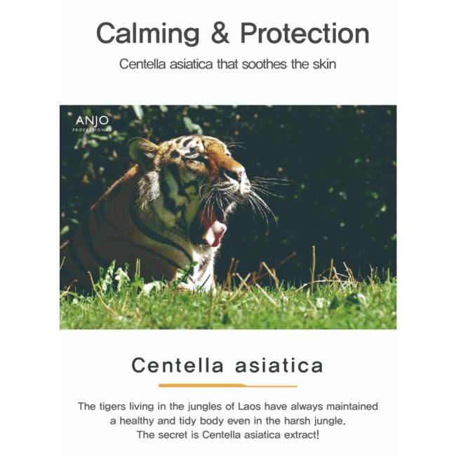 ANJO My Cica Foam Cleansing 100ml / My Cica Peeling Gel 180ml (7 Options)