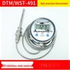 Bodefu HC WST/DTM491 Digital Industrial Thermometer