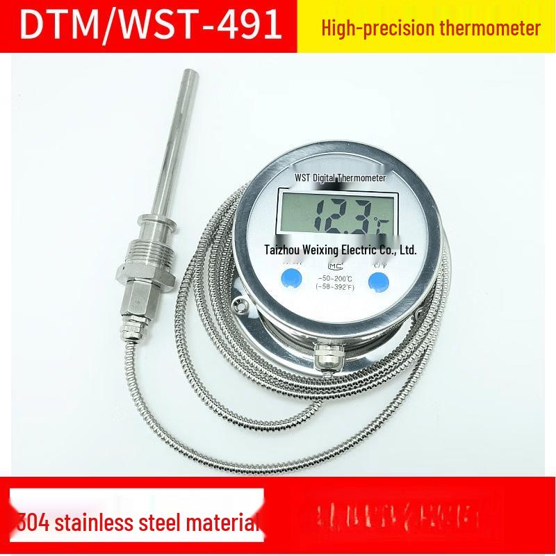Bodefu HC WST/DTM491 Digital Industrial Thermometer