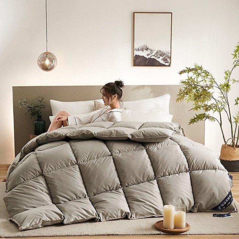 Down quilt white goose down quilt winter cotton thick quilt core winter quilt Warm Cozy Cashmere Duvet quilt core winter quilt