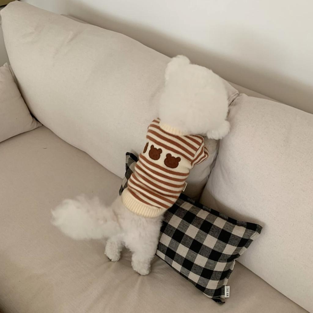 Sweter w paski dla zwierząt na wiosnę i jesień Ciepły sweter dziergany dla zwierząt Jesień Zima Pogrubiony Mały Średni pies Kot Teddy Płaszcz