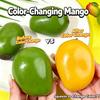 Color Changing Mango Mochi Pinching Ball Handmade Crispy Mango Stress Ball Squeeze Slow Rebound Stress Release Creative Gifts