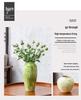 Nordic Ceramic Luxury Vase for Living Room - Minimalist Flower Arrangement Decor