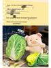 Plush Pig Claw Machine Toy - Internet Celebrity Style, Transforming Cabbage Pig Doll, Gift for Weddings & More