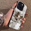 Süße Corgi Handyhülle Für iPhone 17,16,15,14,13,12,11,Pro,Max,Plus Weiche Schwarze Hülle