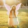 Adult Children's Party Light Gold Butterfly Wings Props Children's Day Performance Elf Wings
