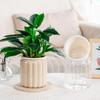 Self Watering Planter Plastic Plant Pot with Inner Pot Modern Decorative Flower Pot for All House Plants Flowers Herbs African Violets