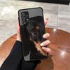 Interesting Dachshunds Back Phone Cover Case for Samsung Galaxy A36 A21s A25 A26 A35 A33 A73 A24 A52 A56 A54 A34 A53