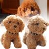 Mignon Porte-clés Peluche Chien Teddy Pour Sacs Et Clés Animal en Peluche Doux