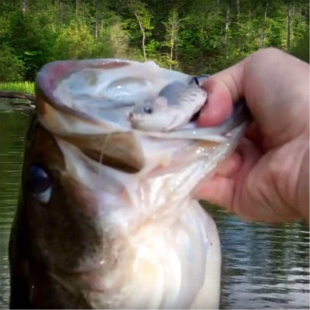 5.5cm/10.5g Hot Lifelike eyes Wobblers  Soft Mouse Bait Snakehead Hooks Fishing Lures Spinner Spoon