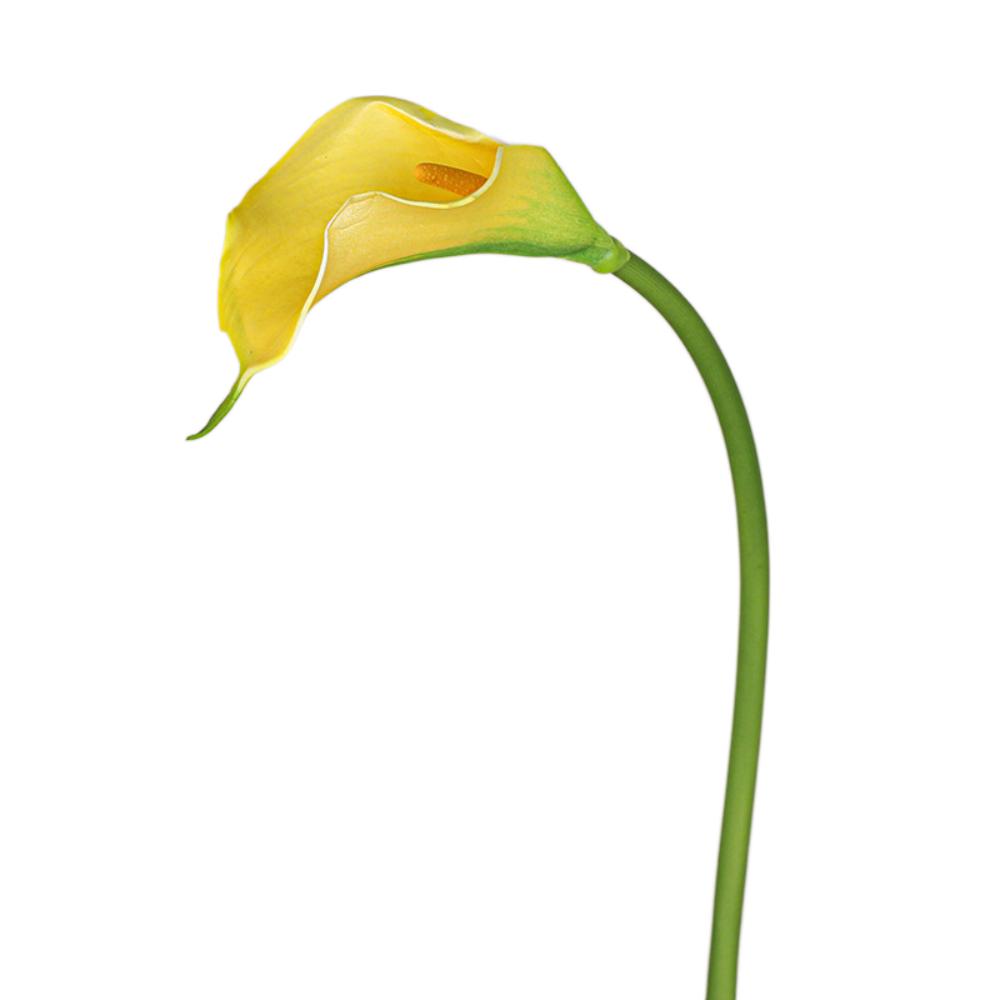 3ks 50cm Umělá kala EVA Falešná květina Kytice Svatby Party Dekor