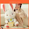 Adorabile Bambola Peluche Fata Coniglietto Per Bambine Giocattolo Morbido E Coccoloso Regalo di Compleanno Ideale