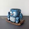 An Owl Hanging A Succulent Decoration In A Flower Pot As A Gift