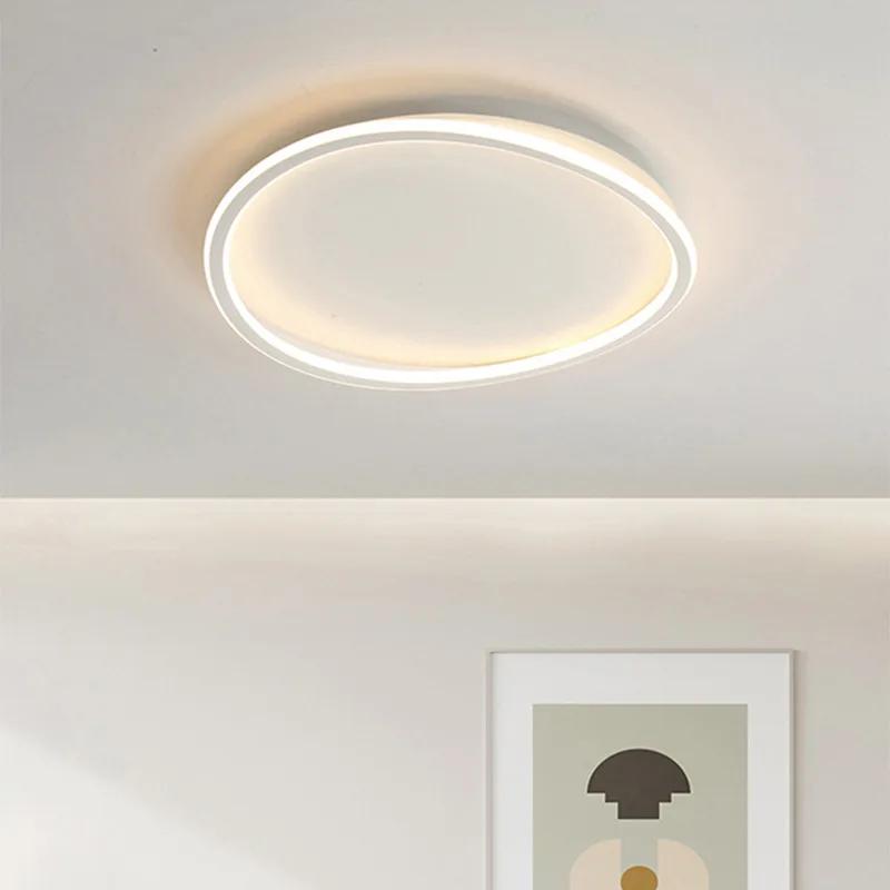 Simple Dimmer Led Ceiling Lights for Home Decoration Living Room Bedroom Children's Dining Room Chandelier with Control