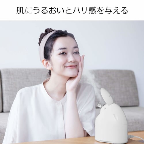 Panasonic Steamer Nano Care Compact Type Gold Tone EH-SA3B-N