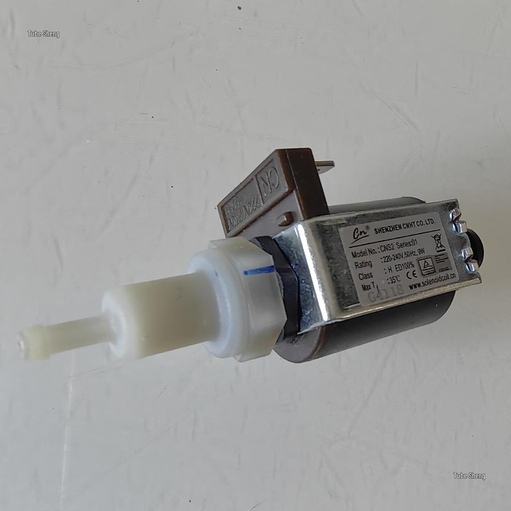 Handheld Garment Steamer Accessory: SNS2 9W Solenoid Valve Micro Pump 220V