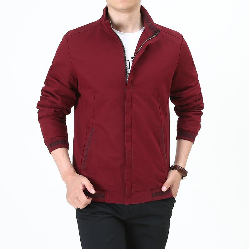 New Spring and Autumn Thin Casual Jacket Men's Stand-up Collar Medium Handsome Top Dad Wear