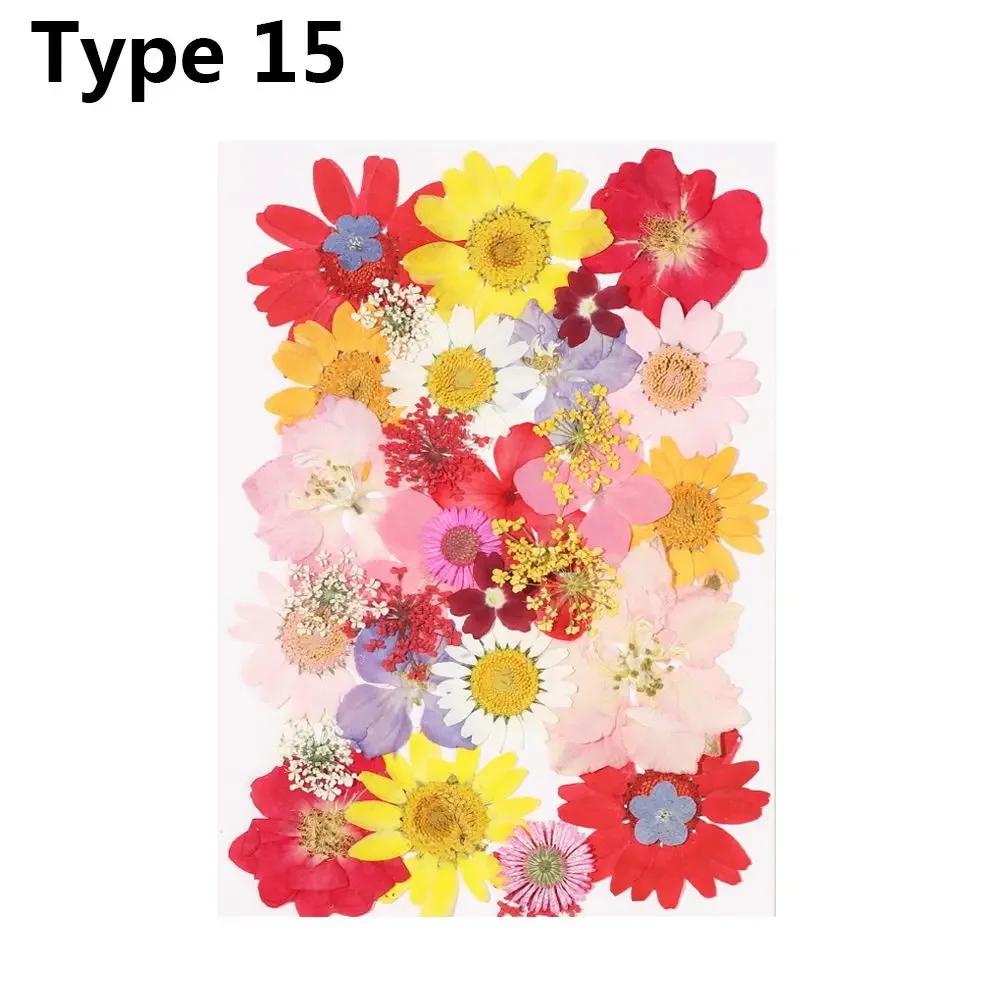 Dried Flowers UV Resin Decorative Natural Flower Stickers 3D Pressed Dried Flowers Beauty Decal Nail Art Epoxy Mold Filling