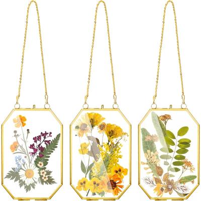 3 Glasrahmen mit gepressten Blumen, Kleiner Messing-Schwebrahmen mit Kette, Klarer DIY Handgemachter Heimwanddekor zur Präsentation von Kunstwerken, getrockneten Pflanzenproben