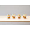 WECK GIFTBOX(TULIP 200mlx4 SET/STAINLESS CLIPx8/RUBBER PACKING Sx4) SET WE-S219