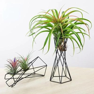 İskandinav Tarzı Hava Tesisi Standı Metal Saksı Standı Geometrik Demir Hava Ananas Standı Masaüstü ev bahçe dekorasyonu