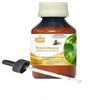 Levenmooi Ravintsara (Cinnamoum Camphora) Pure & Natural Therapeutic Grade Essential Oil Plastic with Dropper