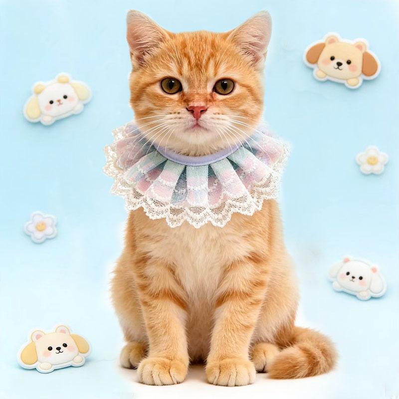Fresh lace pet saliva towel princess style cat bib doll small dog dog decoration bib supplies