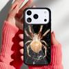 Spider Spider Web Phone Case for iPhone 17 Air 16e 15 14 13 Pro Max Back Cover for 12 11 Pro Coque