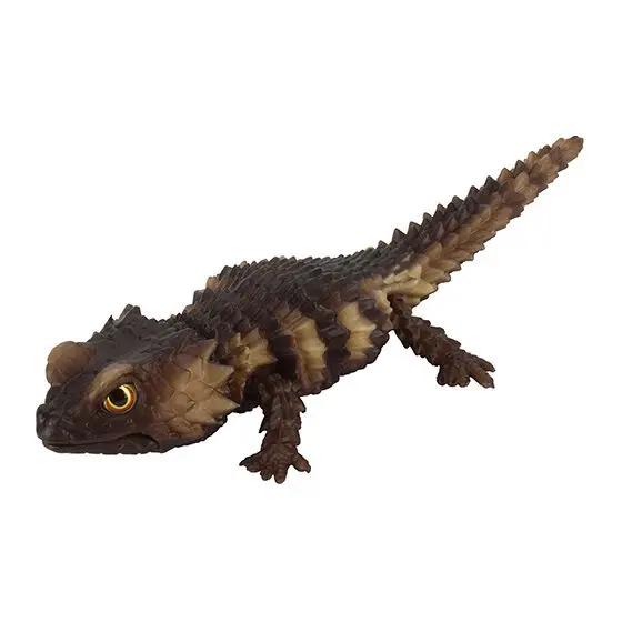 

Genuine Gacha Scale Model Great Biological Encyclopedia Series Reptiles Armadillos Guard Lizards Action Figure Toys Poseable Articulated Detailed