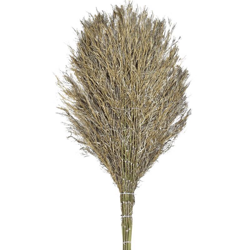 Zhuchuang Jingpin 1.4m Broom