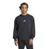 Men's Long Sleeve Round Neck Pullover JE3837