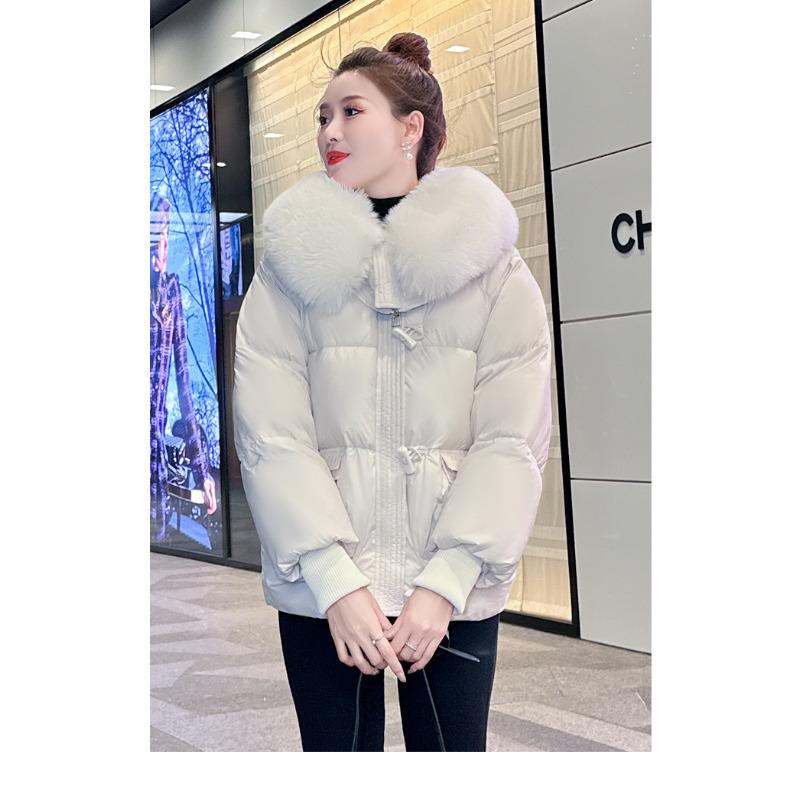 Loose Cotton-padded Clothes, Winter Clothes, New Cotton-padded Clothes, Women's Autumn and Winter Cotton-padded Jackets, Foreign Style Short Jackets.