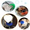Squeaky Molar Ball: Durable, Bite-Resistant Toy for Medium & Large Dogs