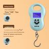 Baijie Portable Digital Hanging Scale