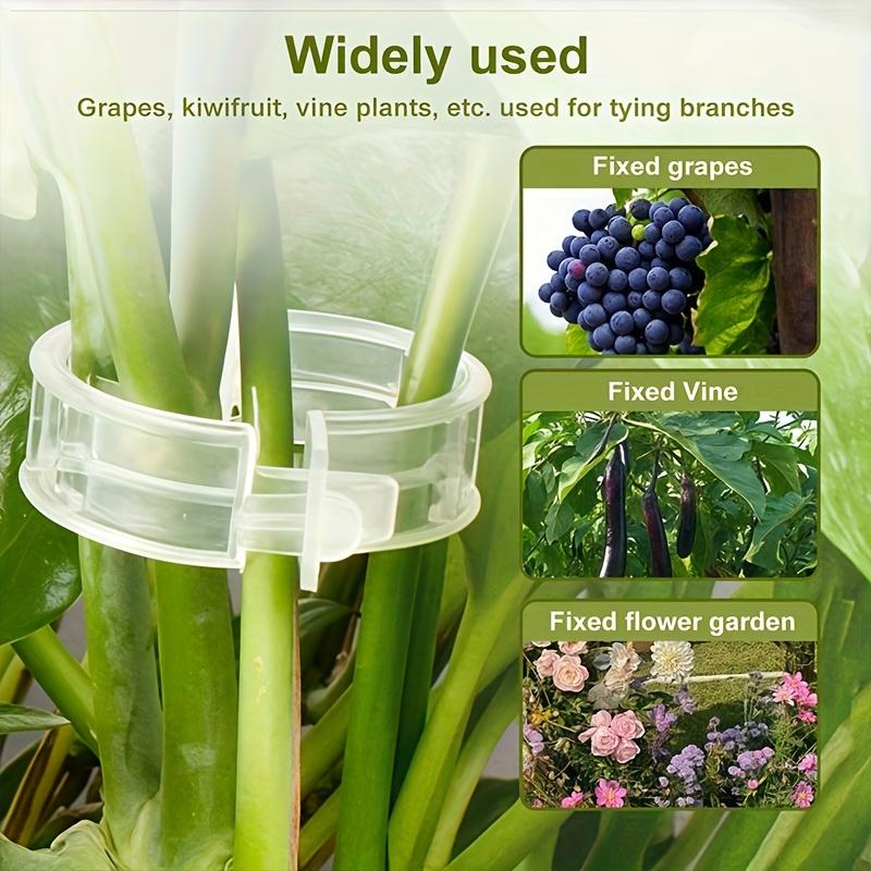 Vine Clips, suitable for cucumbers, peppers, and various vegetables. Reusable, durable, easy to secure without damaging plants