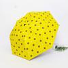 Cartoon brown bear automatic umbrella folding student weather and rain umbrella children vinyl sun umbrella manufacturers wholesale
