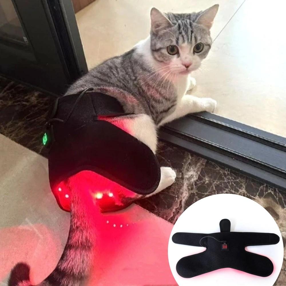 LED Light Source Pet Red Light Recovery Device Dog Recovery Sleeve Postoperative Rehabilitation