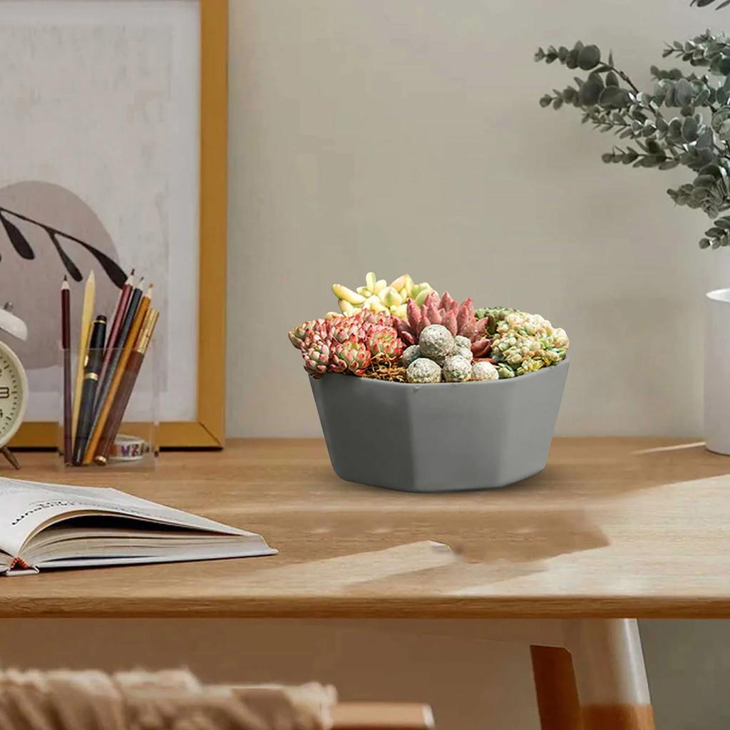 1/3/4pcs Morden Decorative Creation Flower Pots and Planter with Tray for Indoor Outdoor Garden House PlantsAfrican Variety