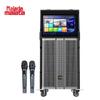 Wanlida M+9525 Portable KTV Karaoke System