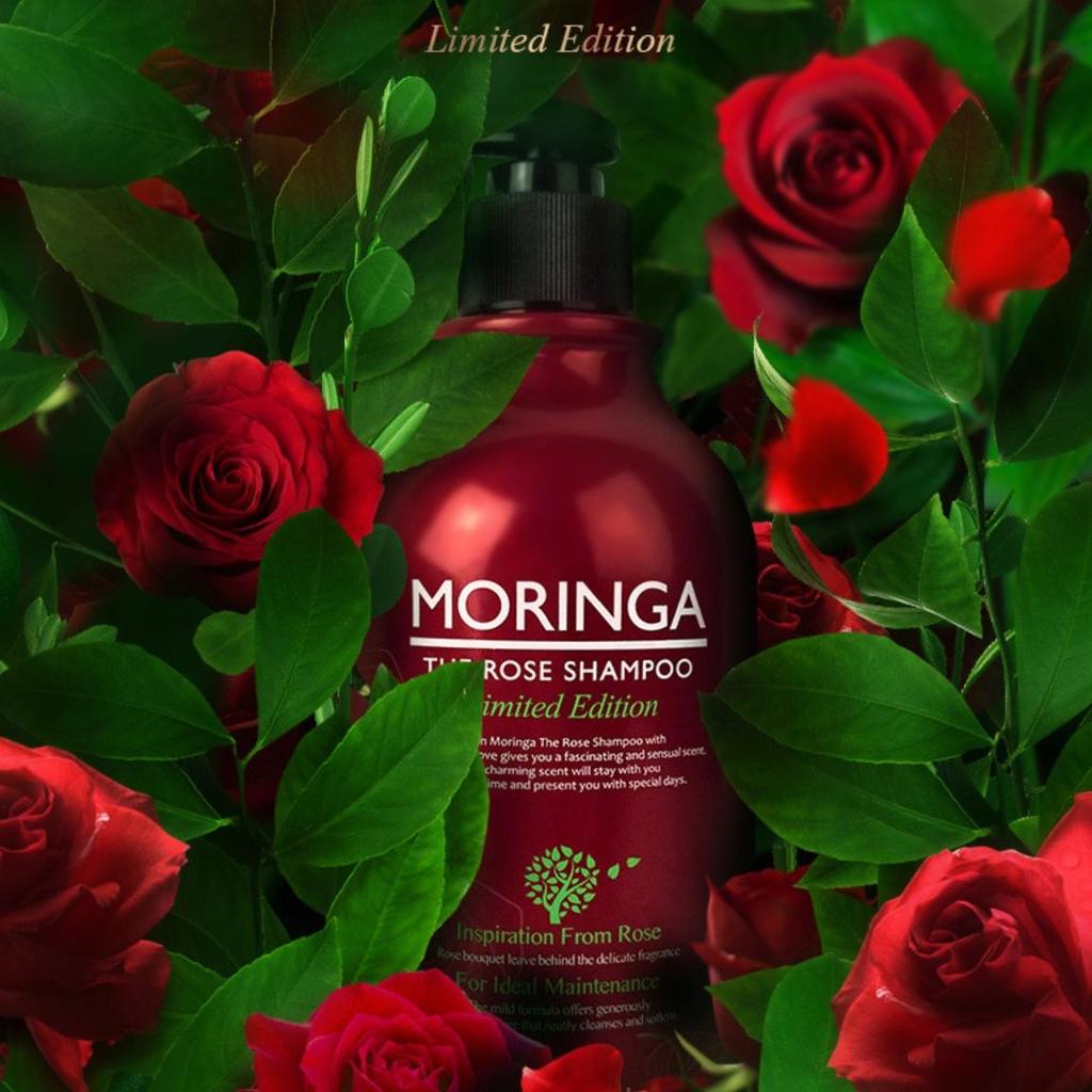 [Baron] Moringa Reparierendes / Erfrischendes Shampoo, Die Rose / Kirschblüte Limitierte Edition (1.000g) 1L